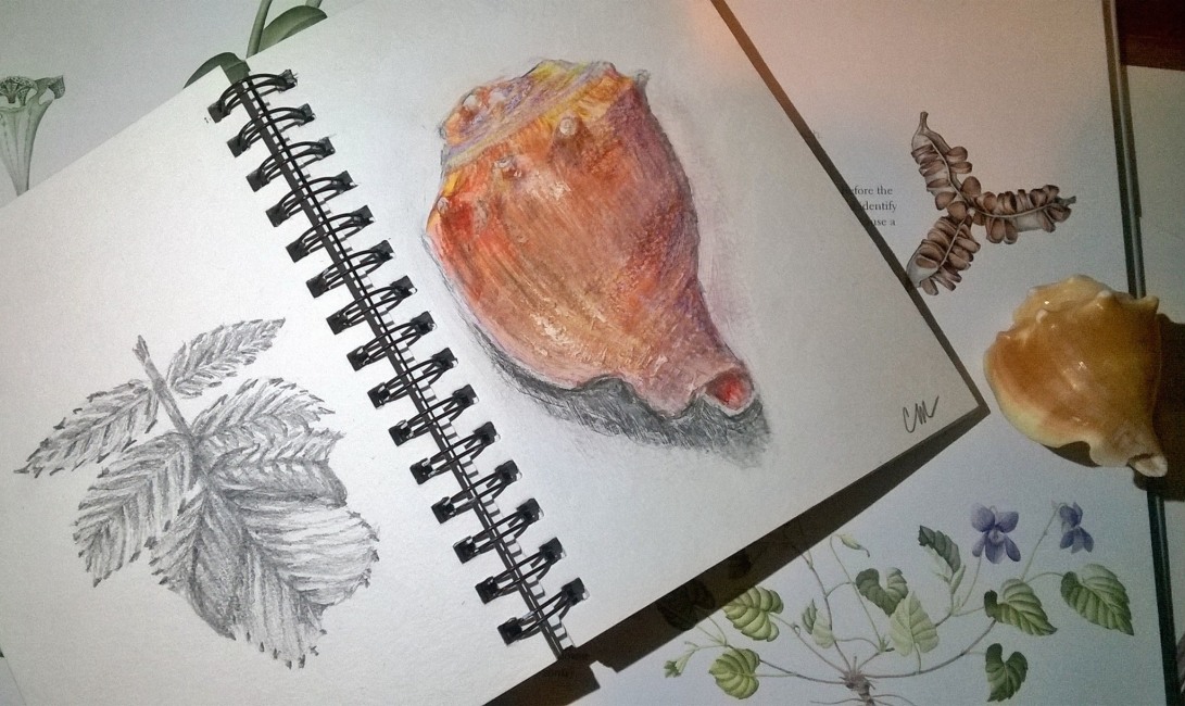 journal - leaves and shell.jpg
