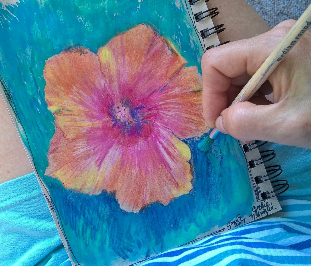 hibiscus - watercolor and watercolor pencil on tan toned paper - sketchbook - cynthia maniglia